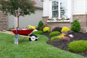 Sod Installation